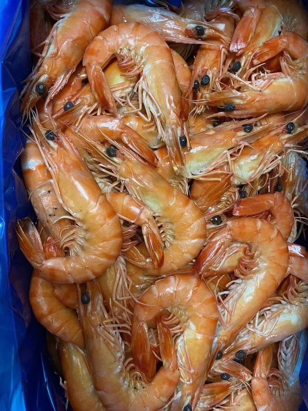 即食美人蝦1000g 即食美人虾 特价2999日元原价3341 泰国产
