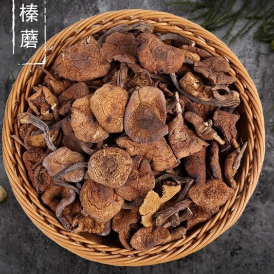 金盛 榛蘑 100g 新品特价889 原价989