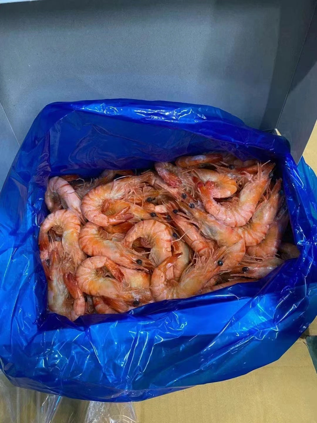 即食美人蝦1000g 即食美人虾 特价2999日元原价3341 泰国产
