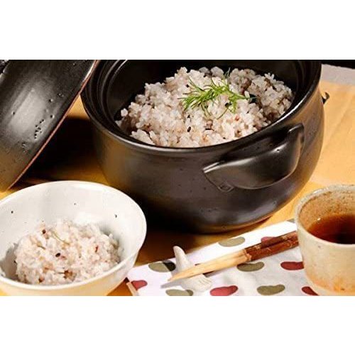 泰成ご飯鍋 (2合炊) 二重蓋 土鍋 耐熱鍋 ご飯鍋 陶器 直火OK 黒 アウトドア 万古焼 萬古焼