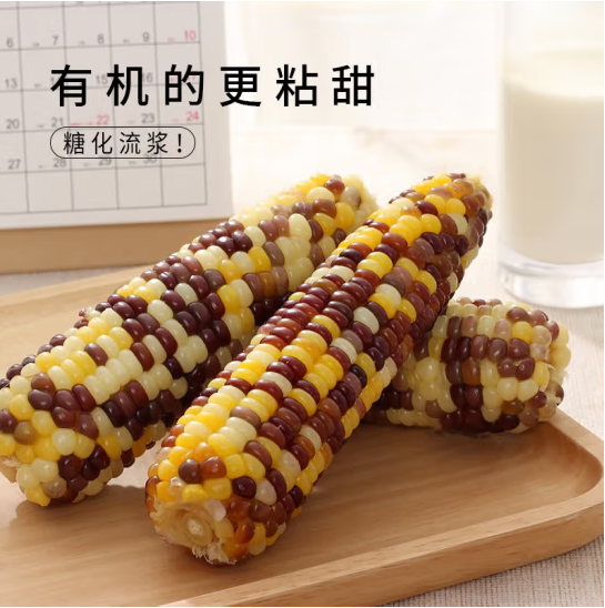 天勤彩糯玉米 1個入 常温 とうもろこし
