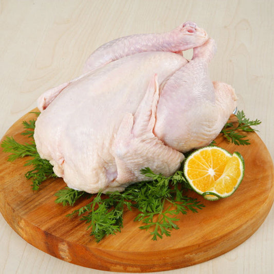 生童子鶏(只)800g 内脏已经处理过 生童子鸡 整只鸡 鸡肉