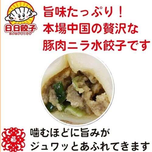 日日 韭菜豚肉水餃子 600g 韭菜猪肉水饺 韭菜水饺
