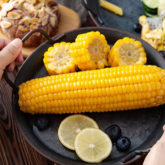 天勤黄糯玉米(1个入) 常温 とうもろこし
