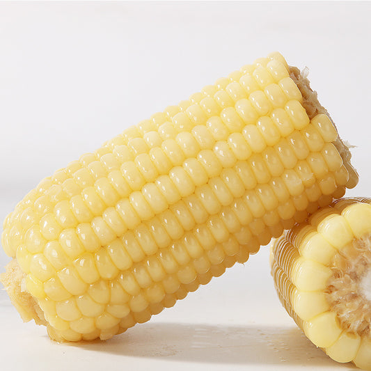 天勤 有机白糯玉米 1個入 甜糯玉米 常温 とうもろこし