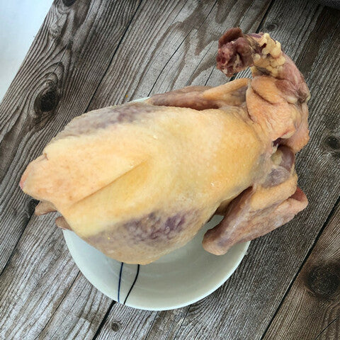 草母鶏 草母鸡一只 鸡肉