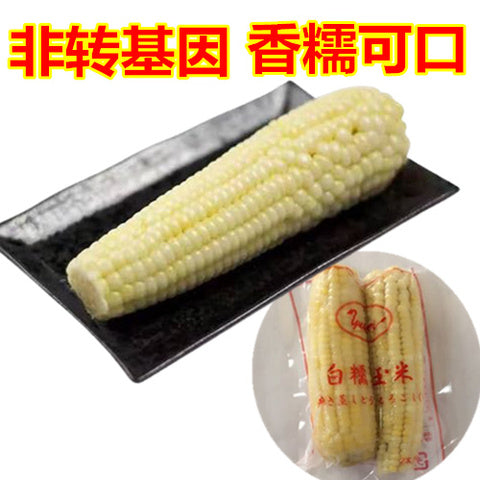 友盛 冷凍 白玉米棒 (2个入) 糯玉米 白玉米 黏玉米 东北黏玉米(非真空包装)糯苞米