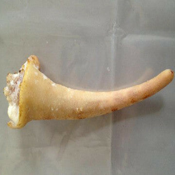 生豚尾 500g 生猪尾巴 日本国产 猪尾巴有大个有小个的按重量算随机发