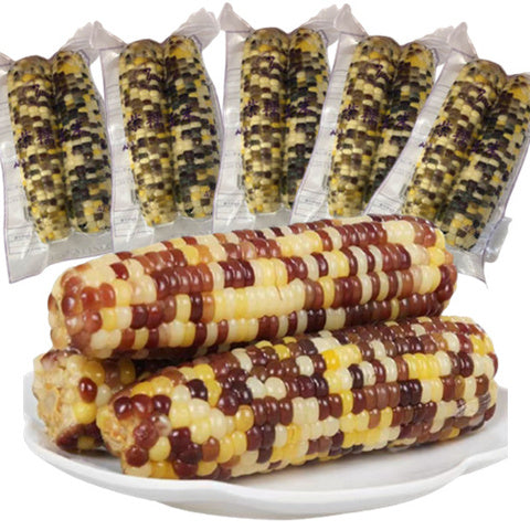 友盛 冷凍 紫糯玉米棒 2本入