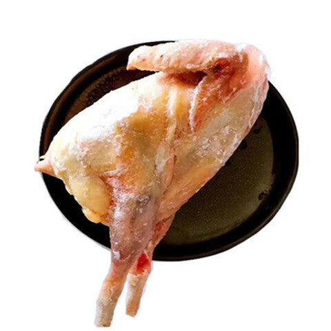 草母鶏 草母鸡一只 鸡肉