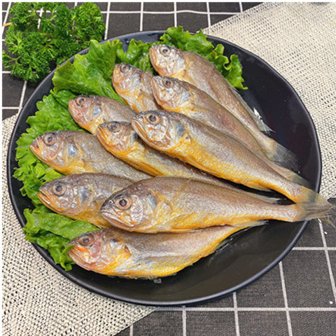 黄花魚350g　黄花鱼