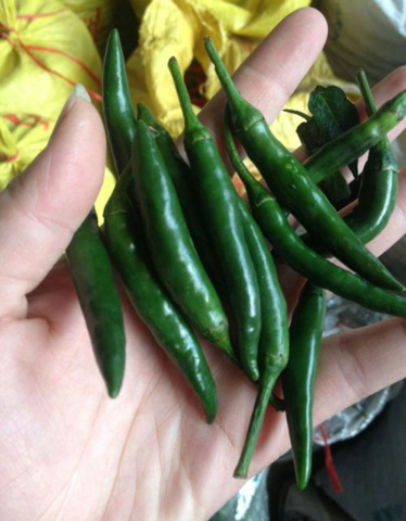 冷凍緑辣椒  500g 小米辣椒 绿辣椒
