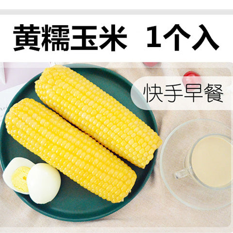 天勤黄糯玉米（1个入） 常温 とうもろこし